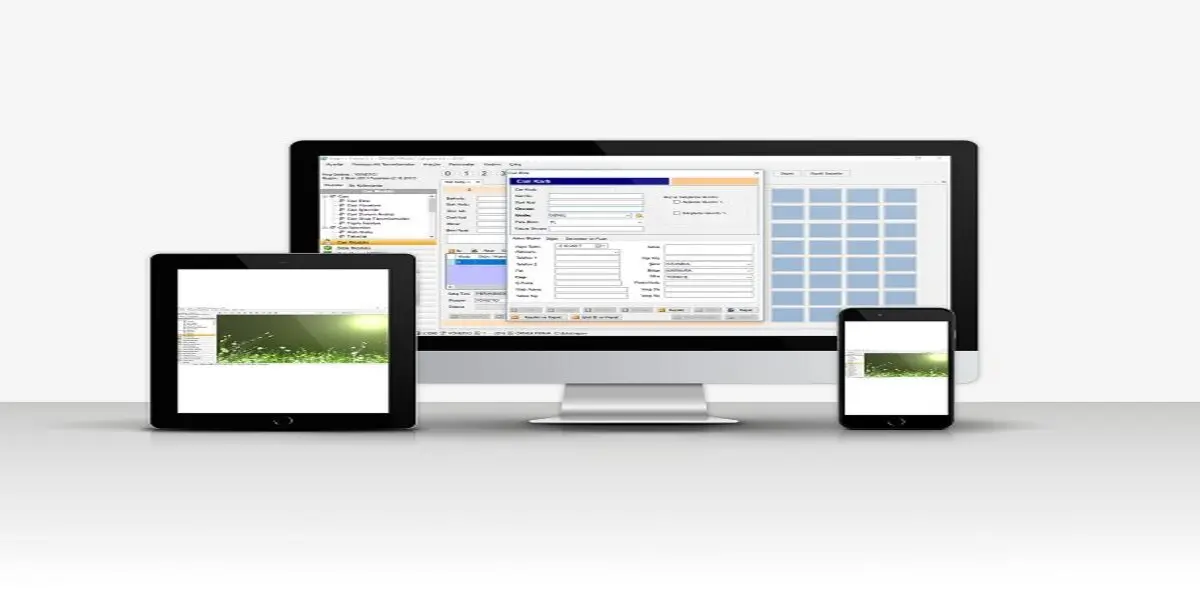 Professional Accounting Program