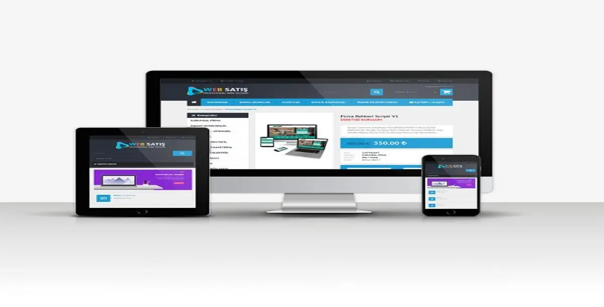 Web Sales Script 1