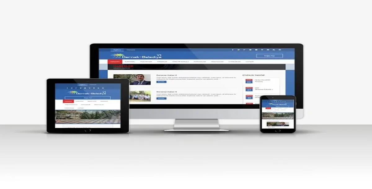 Association & Municipality V1